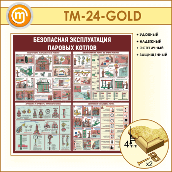 Стенд «Безопасная эксплуатация паровых котлов» (TM-24-GOLD)